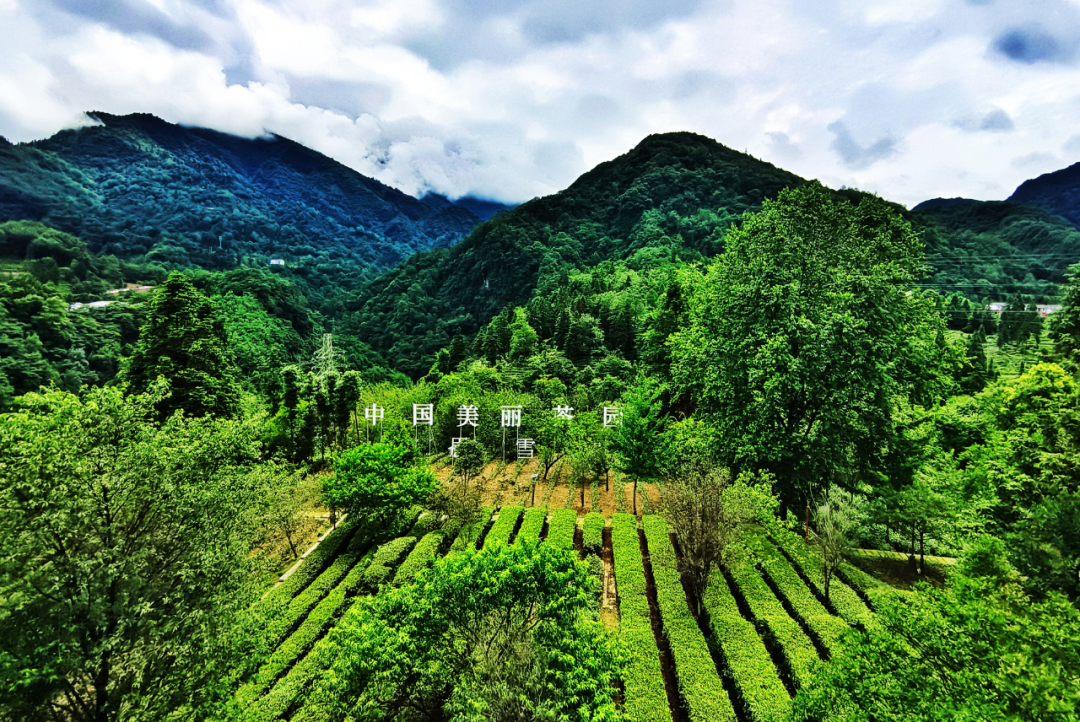 首页|bwin必赢亚洲集团中国官方网站