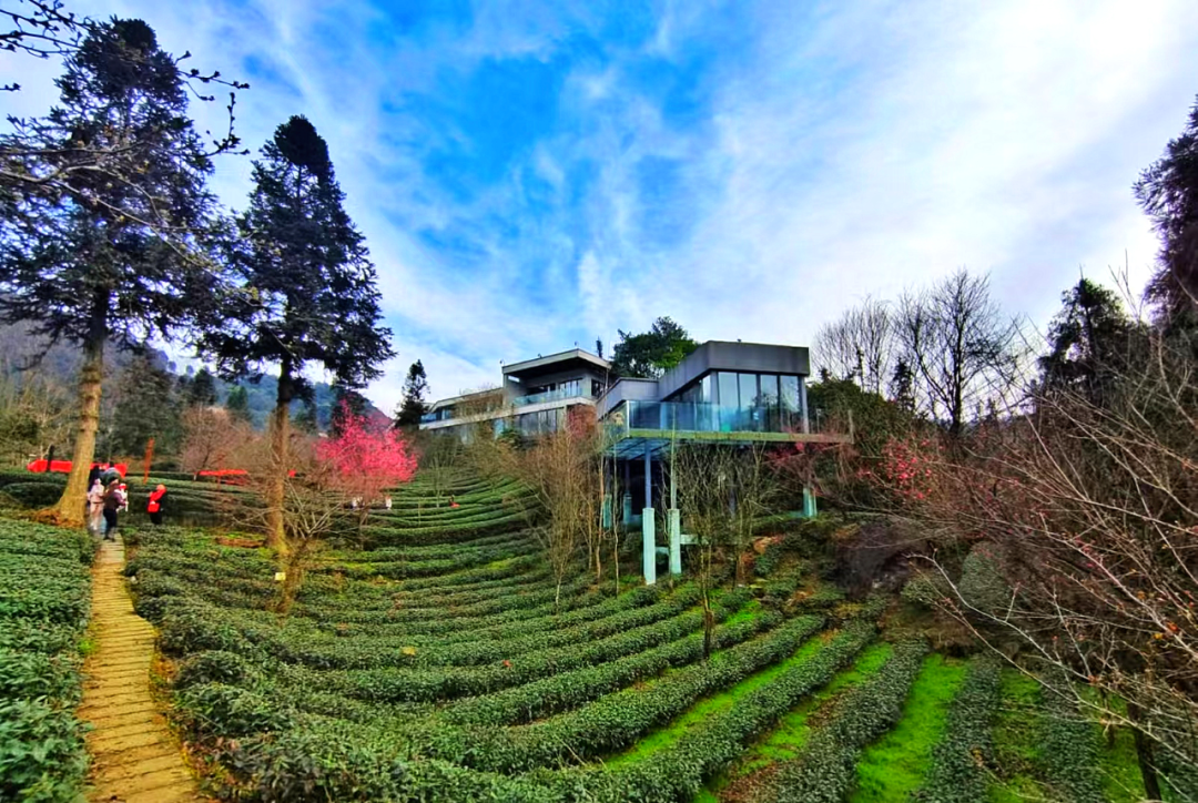 首页|bwin必赢亚洲集团中国官方网站